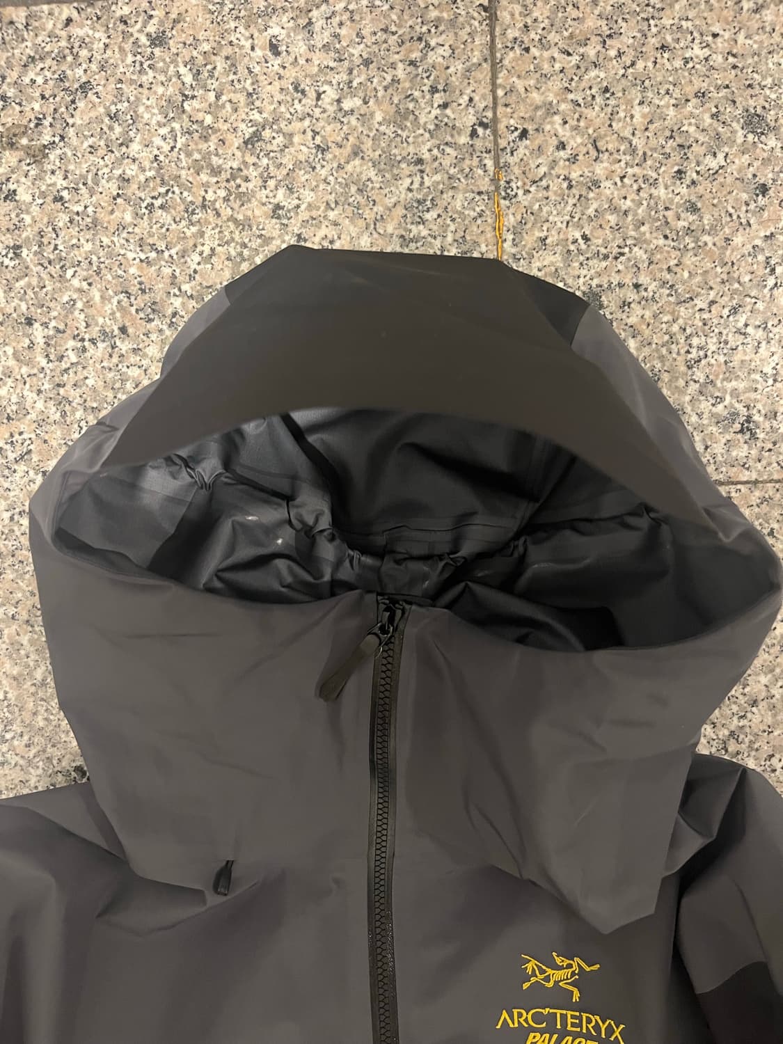 [L] 아크테릭스 팔라스 알파 sv  상품이미지5