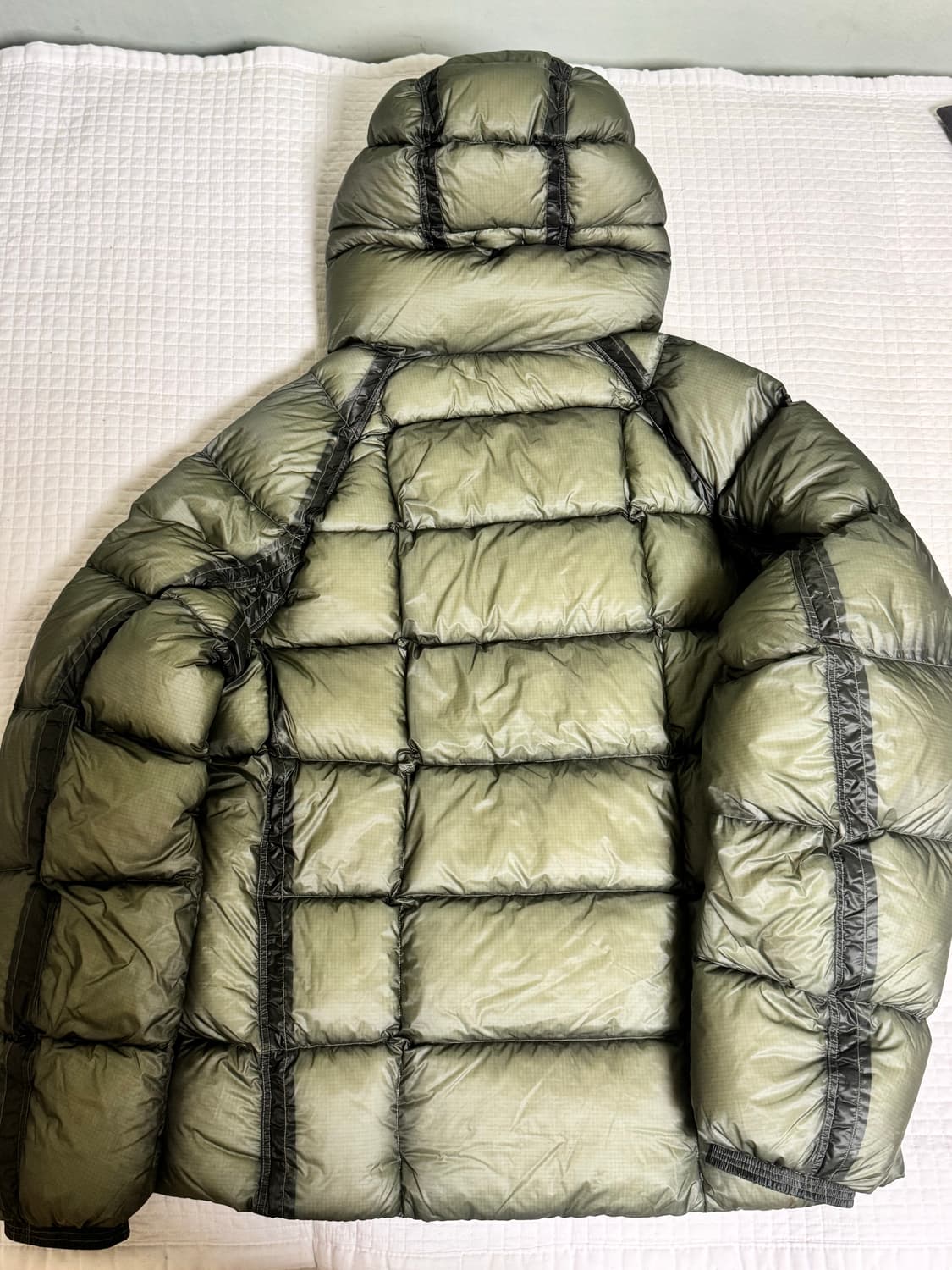 Cp컴퍼니 dd쉘 25fw 그린바나나 L 상품이미지2