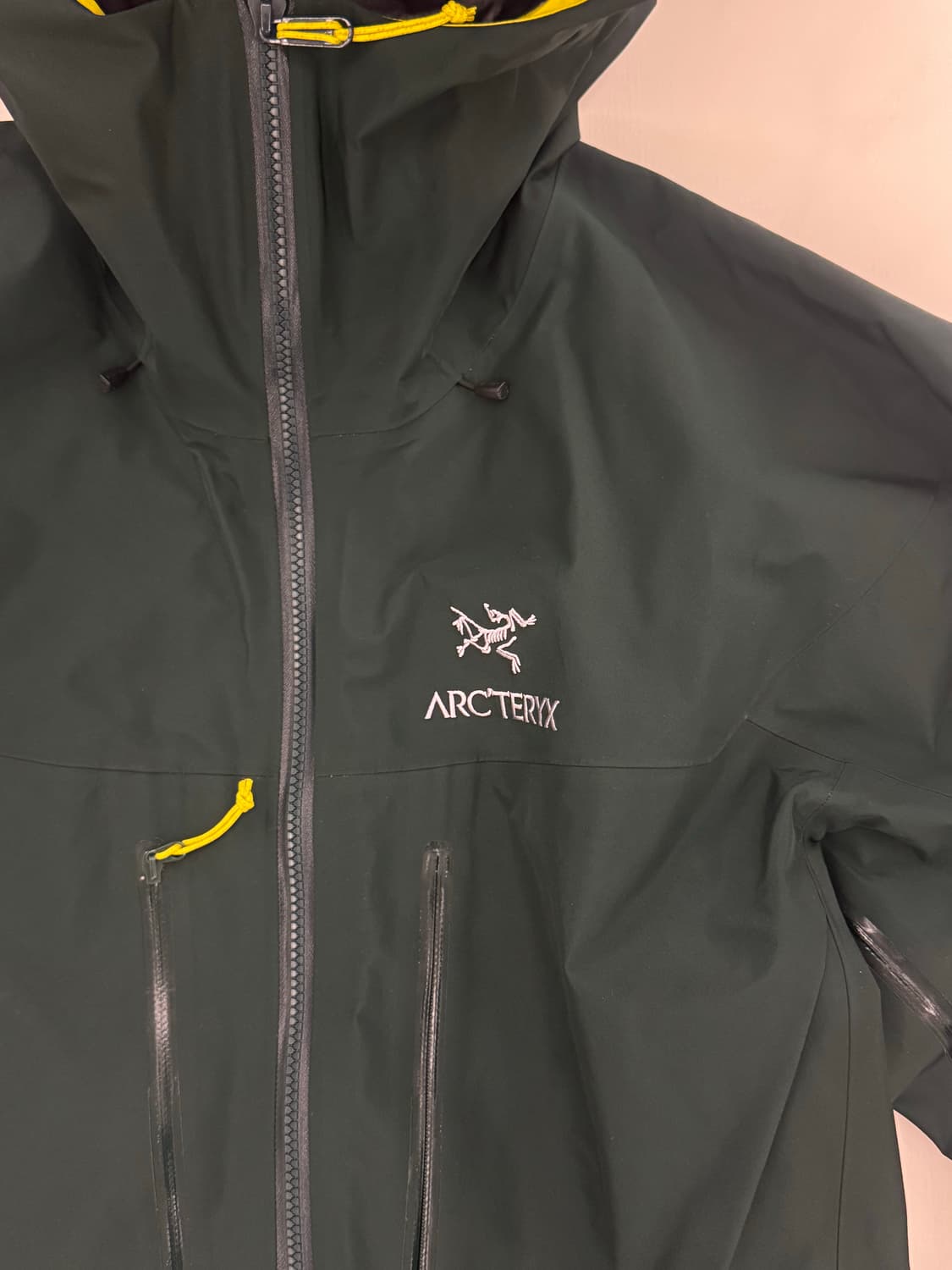 아크테릭스 알파 SV 고어텍스 프로 자켓 상품이미지10