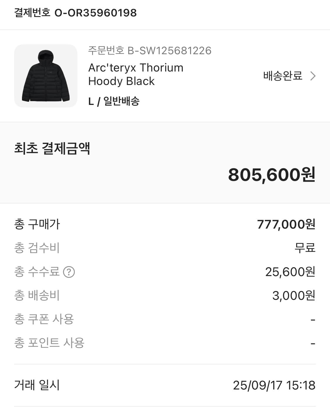 아크테릭스 토륨 후디 L 상품이미지3