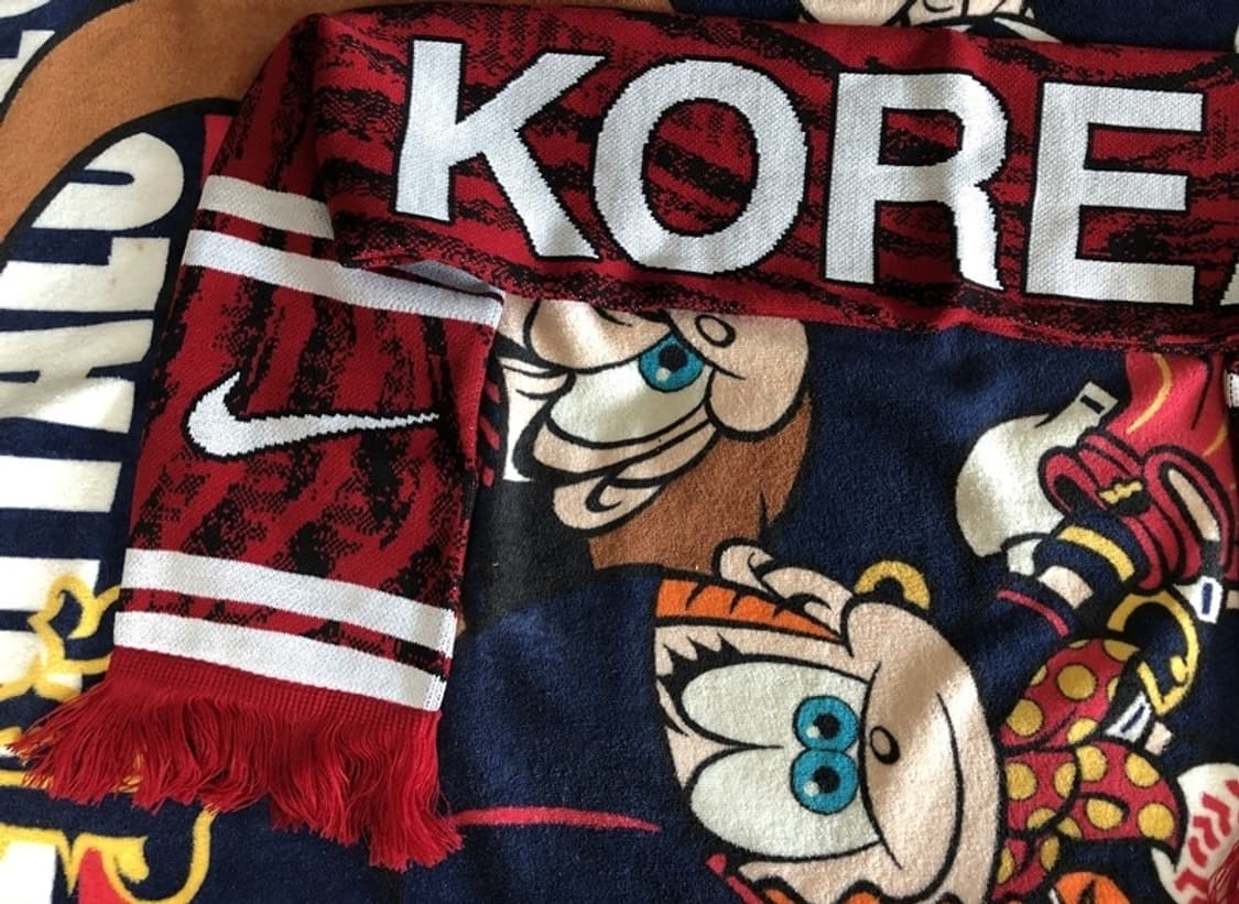 나이키 2022 카타르월드컵한정 축구국대 머플러 상품이미지8