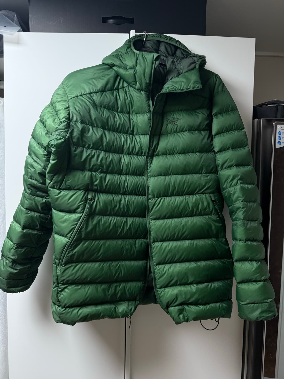 아크테릭스 세륨 패딩 XL 에덴 상품이미지2