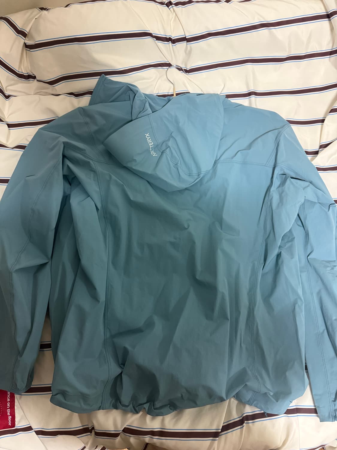 아크테릭스 감마 라이트웨이트 후디 솔레스 상품이미지2