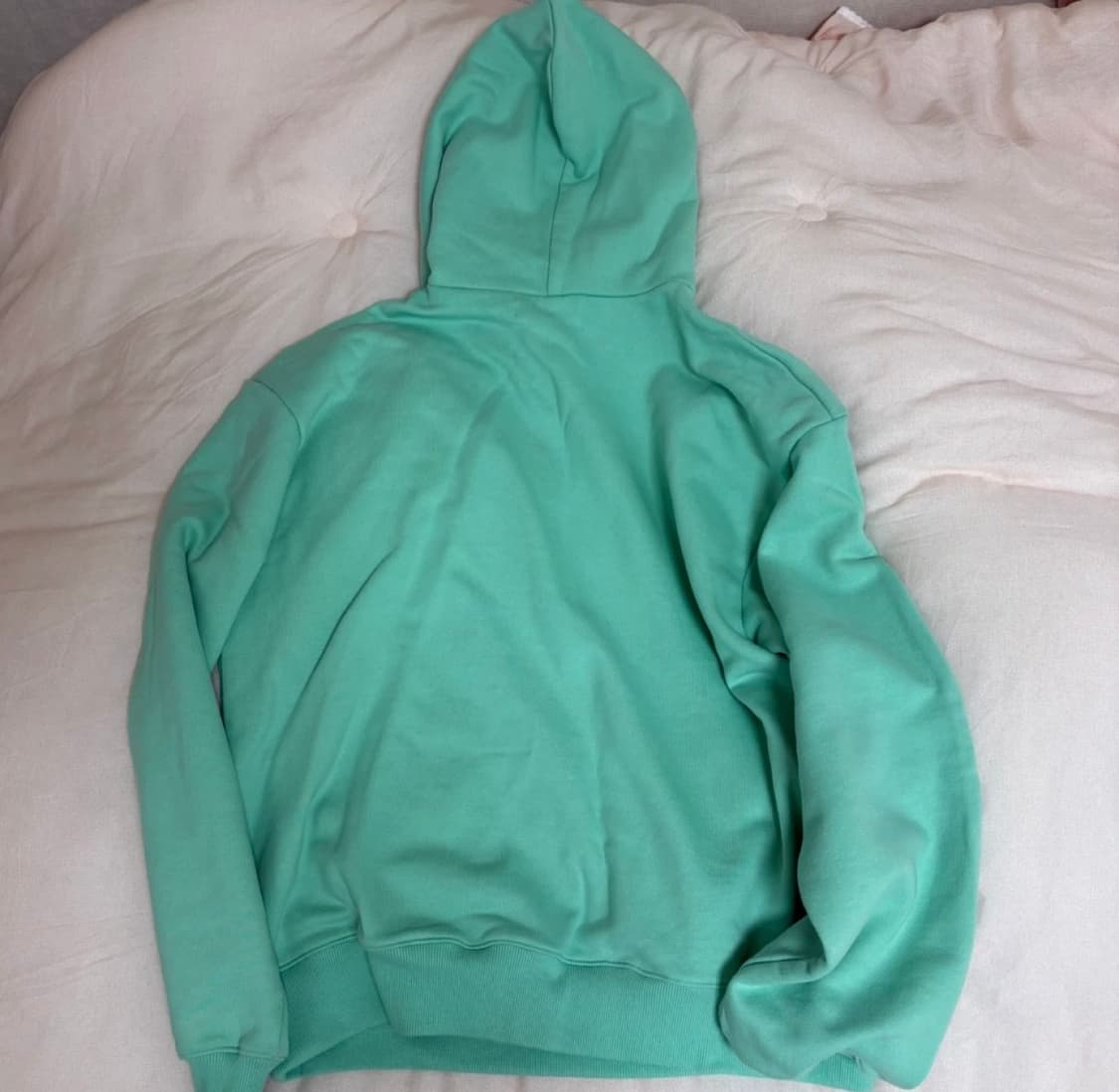 나비버스 avi garden Hoodie_Mint 상품이미지4