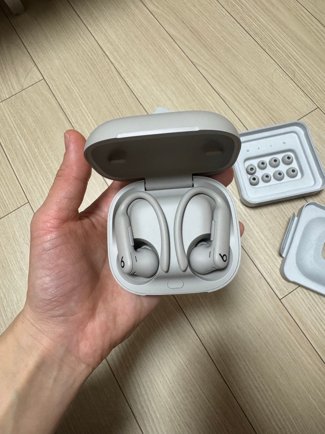 애플 파워비츠 프로2 샌드 상품이미지3