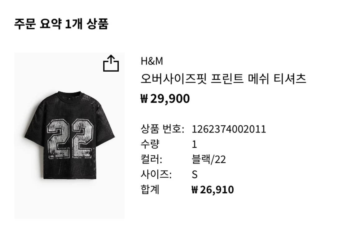 H&M 오버사이즈핏 프린트 메쉬 티셔츠 상품이미지3