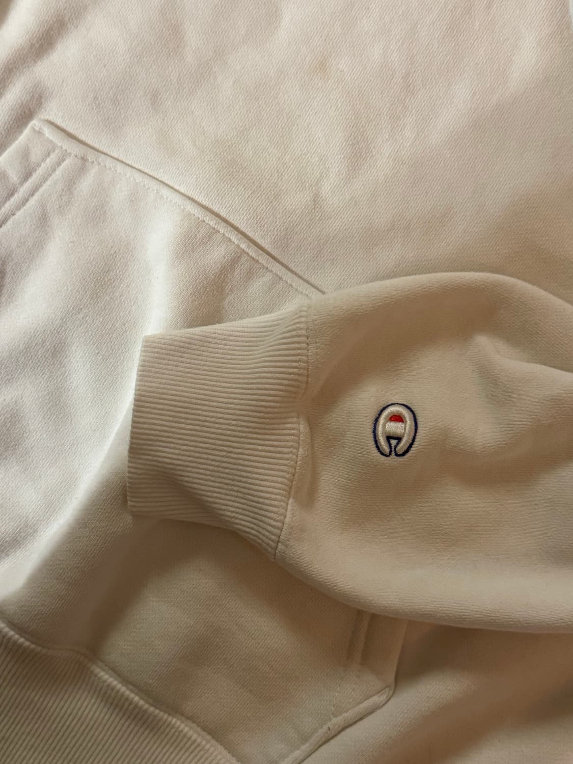 챔피온 빅로고 후드 상품이미지3