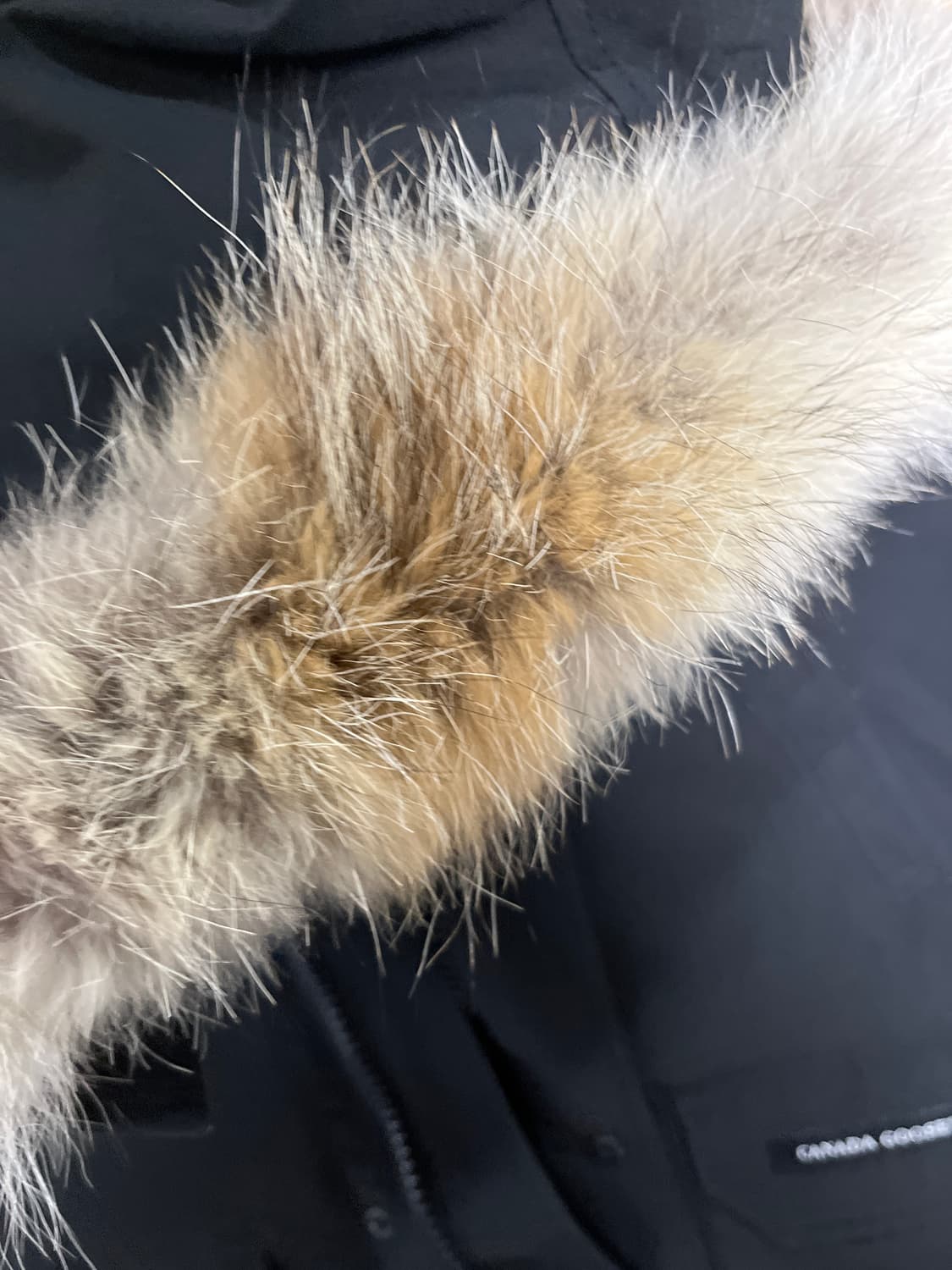 캐나다구스 패딩 상품이미지2