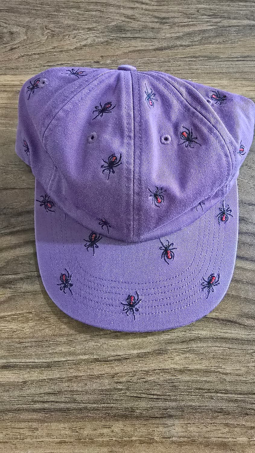 슈프림 엠브로이더드 스파이더 6패널 캡 16FW 상품이미지1