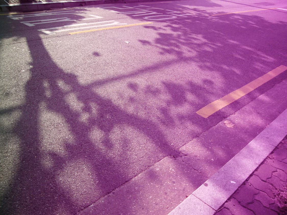 파나소닉 DMC-FX01 디카 (작례확인!)  상품이미지8