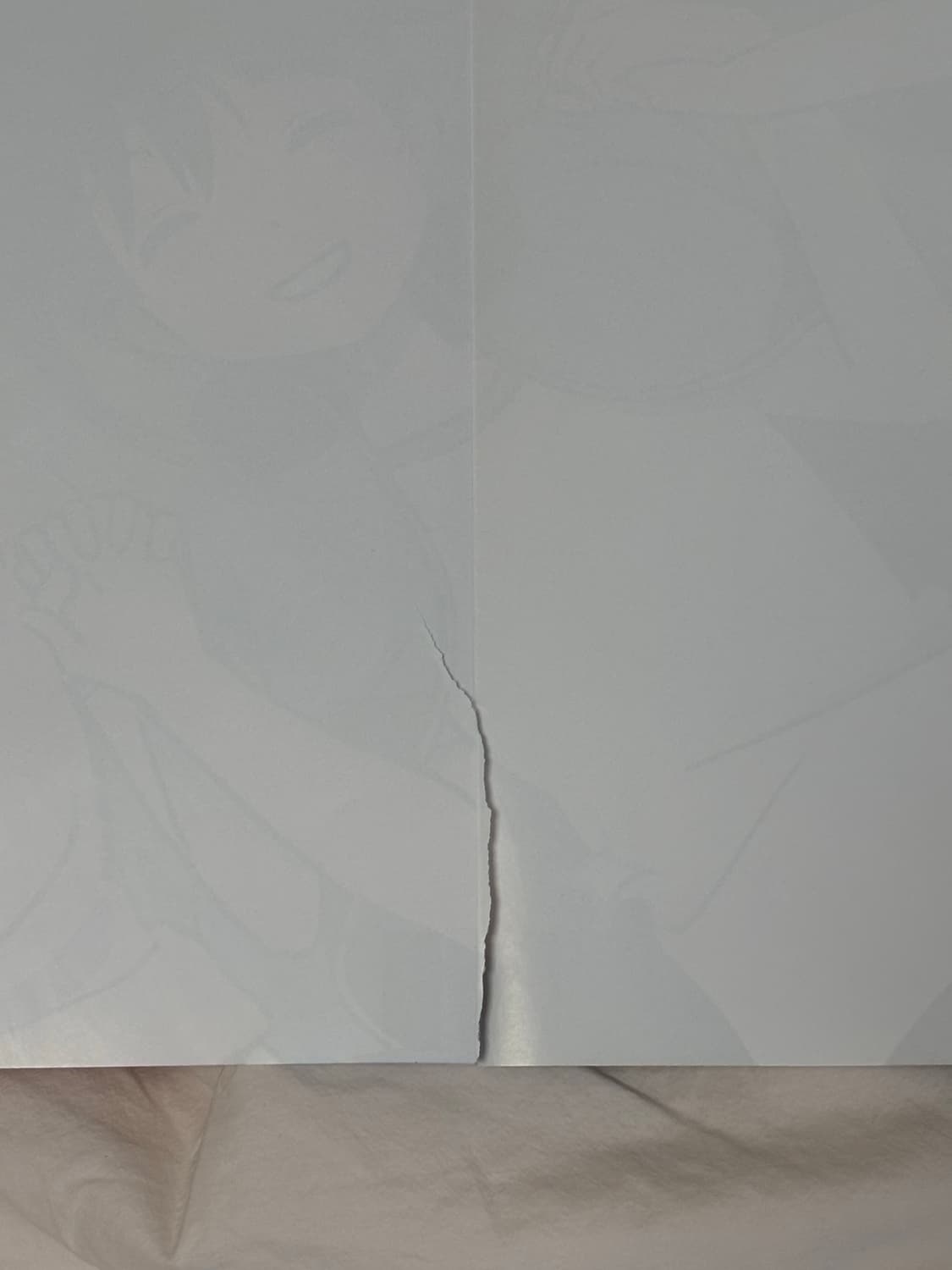 러브라이브 니지동 B2 포스터 니지가사키 미소녀 방꾸 상품이미지2