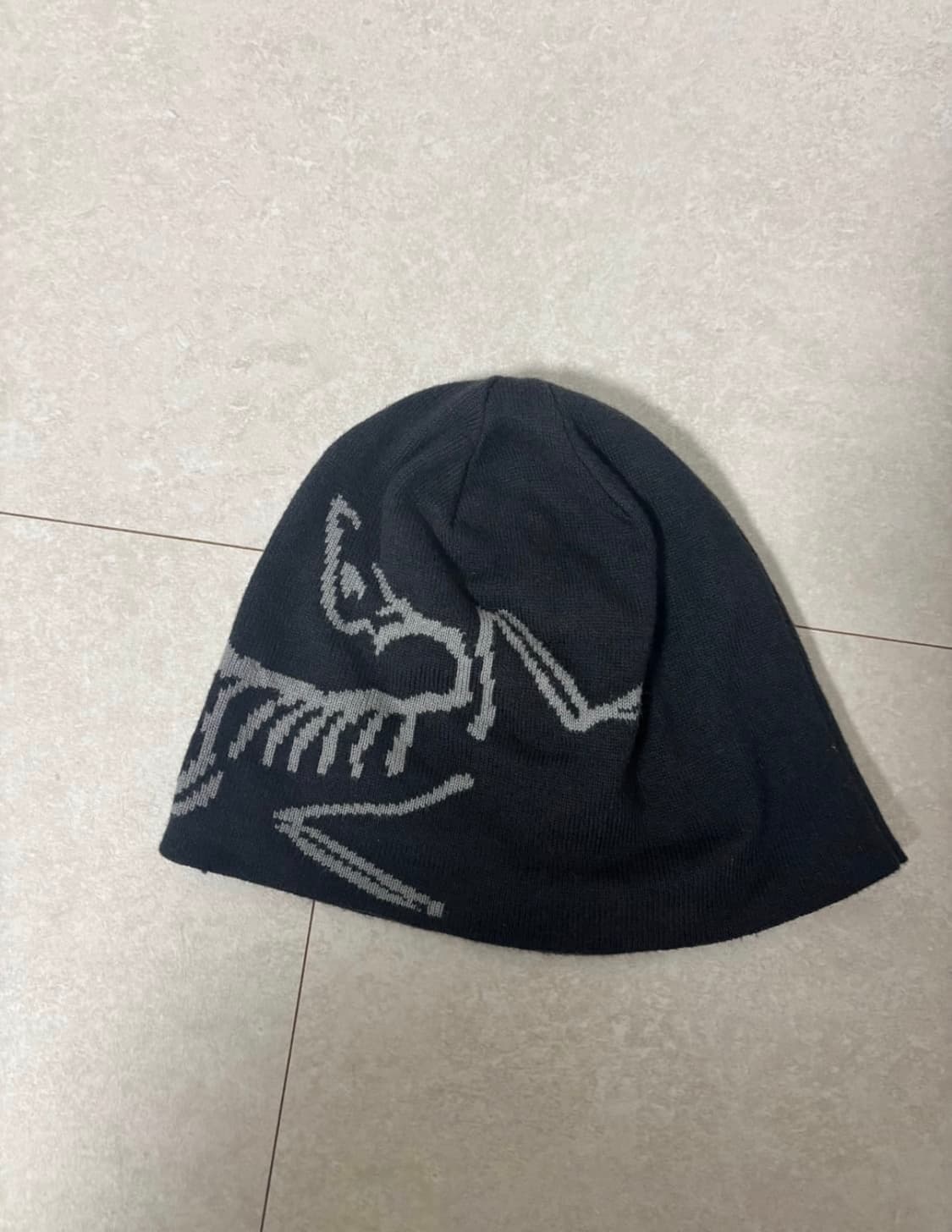 아크테릭스 비니 상품이미지1