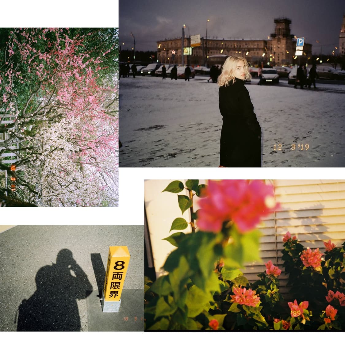 캐논 오토보이2 date  (작례 0) 상품이미지4