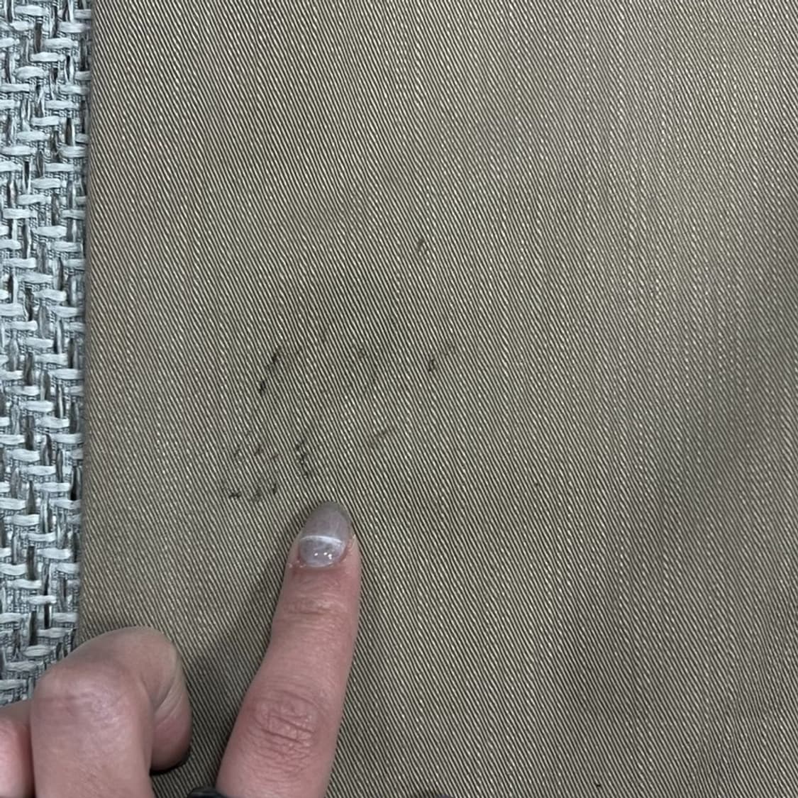 에드윈 워크 팬츠 v0902 상품이미지7