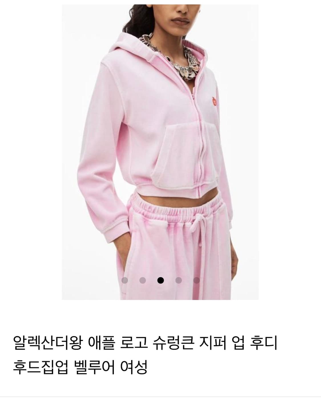 알렉산더왕 후드집업 M 사이즈 상품이미지2