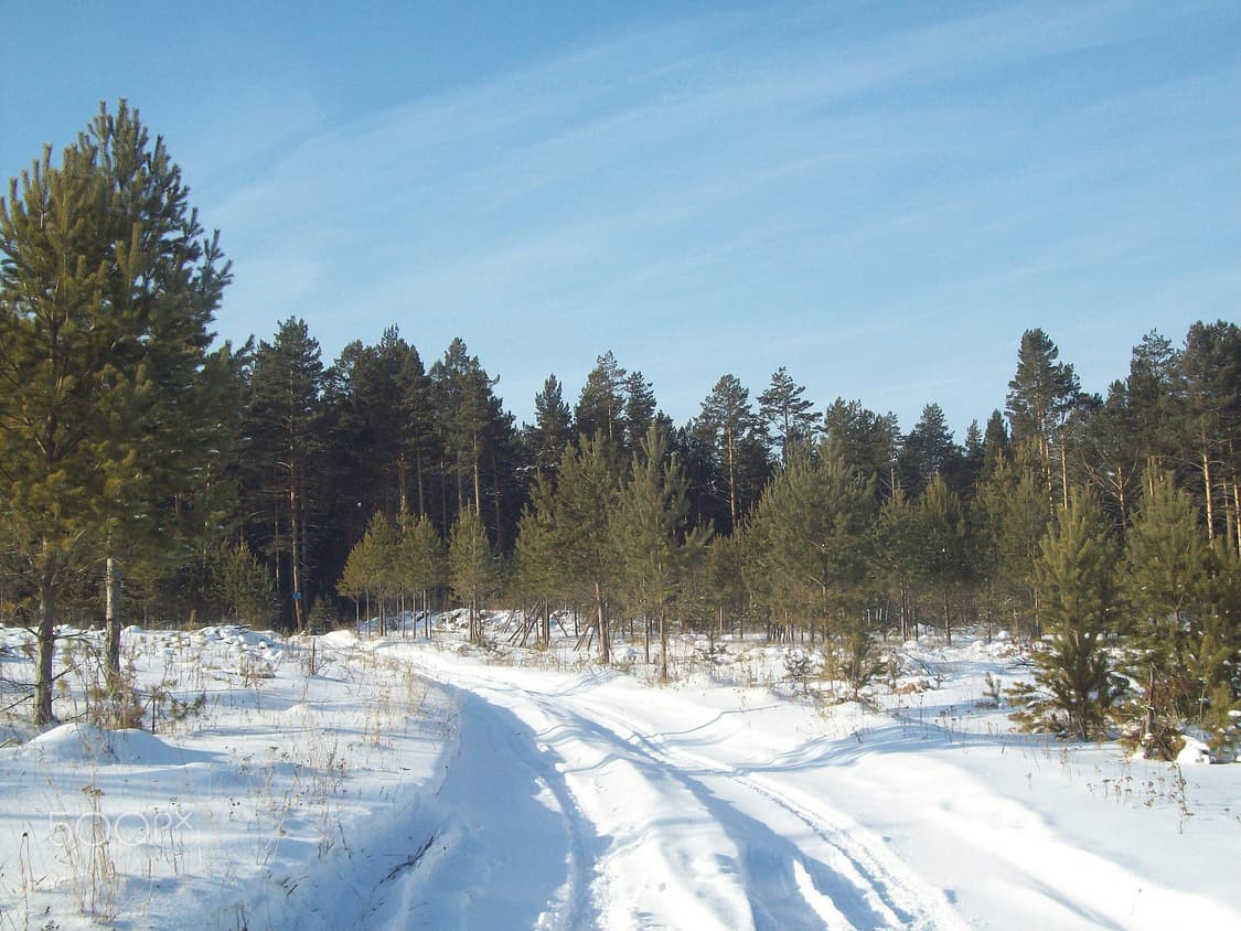 코닥 이지쉐어 Kodak EasyShare C813 실버 상품이미지5