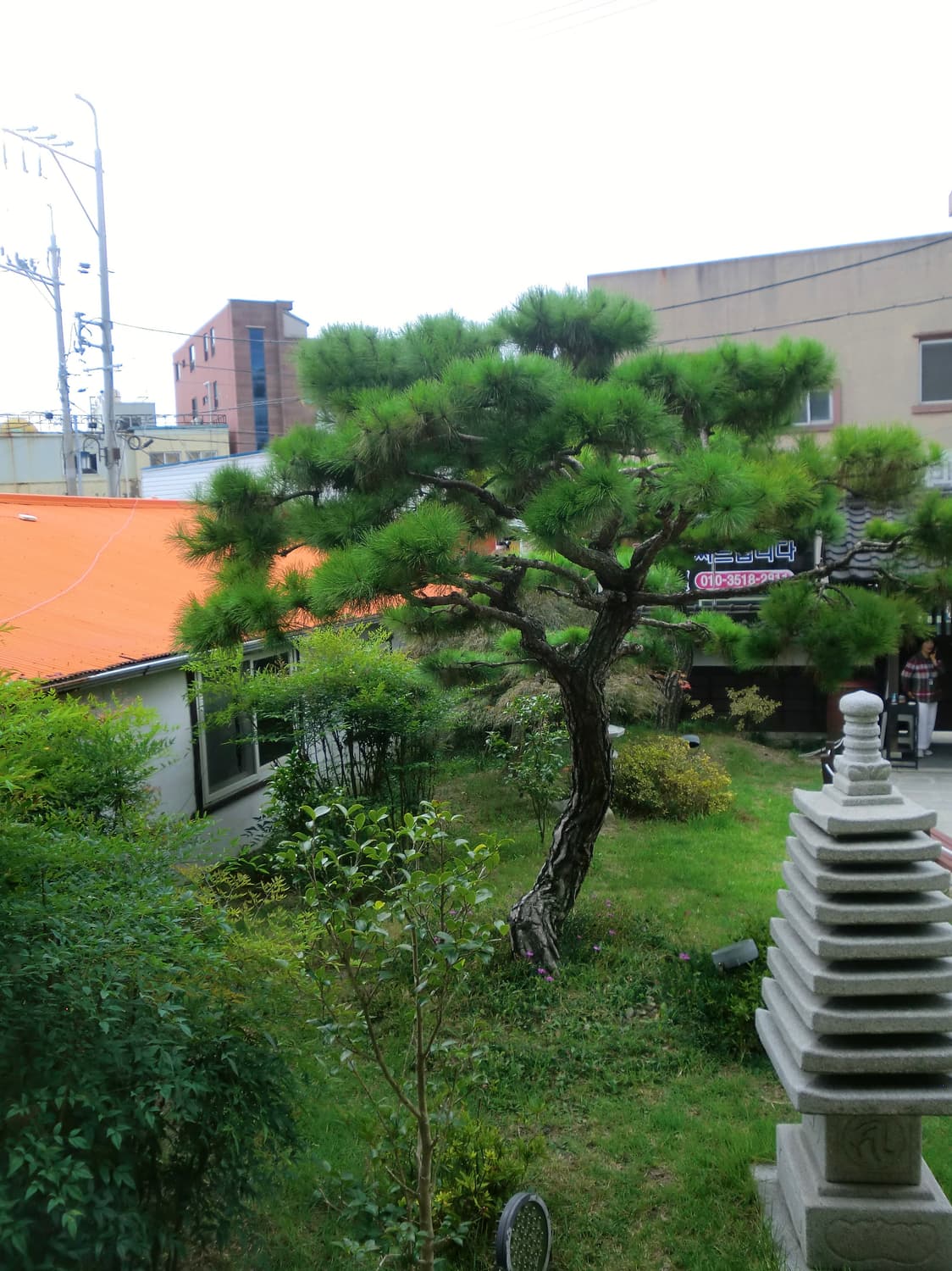 카시오 엑슬림 ex-z550 casio exilim 디카(작례o내용필독) 상품이미지10