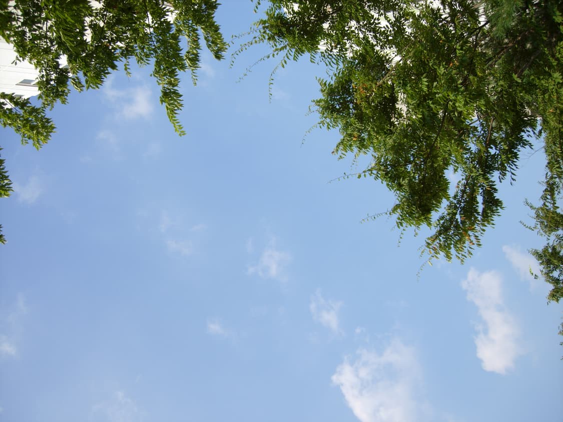 니콘 쿨픽스 p3 (nikon coolpix p4) 상품이미지8