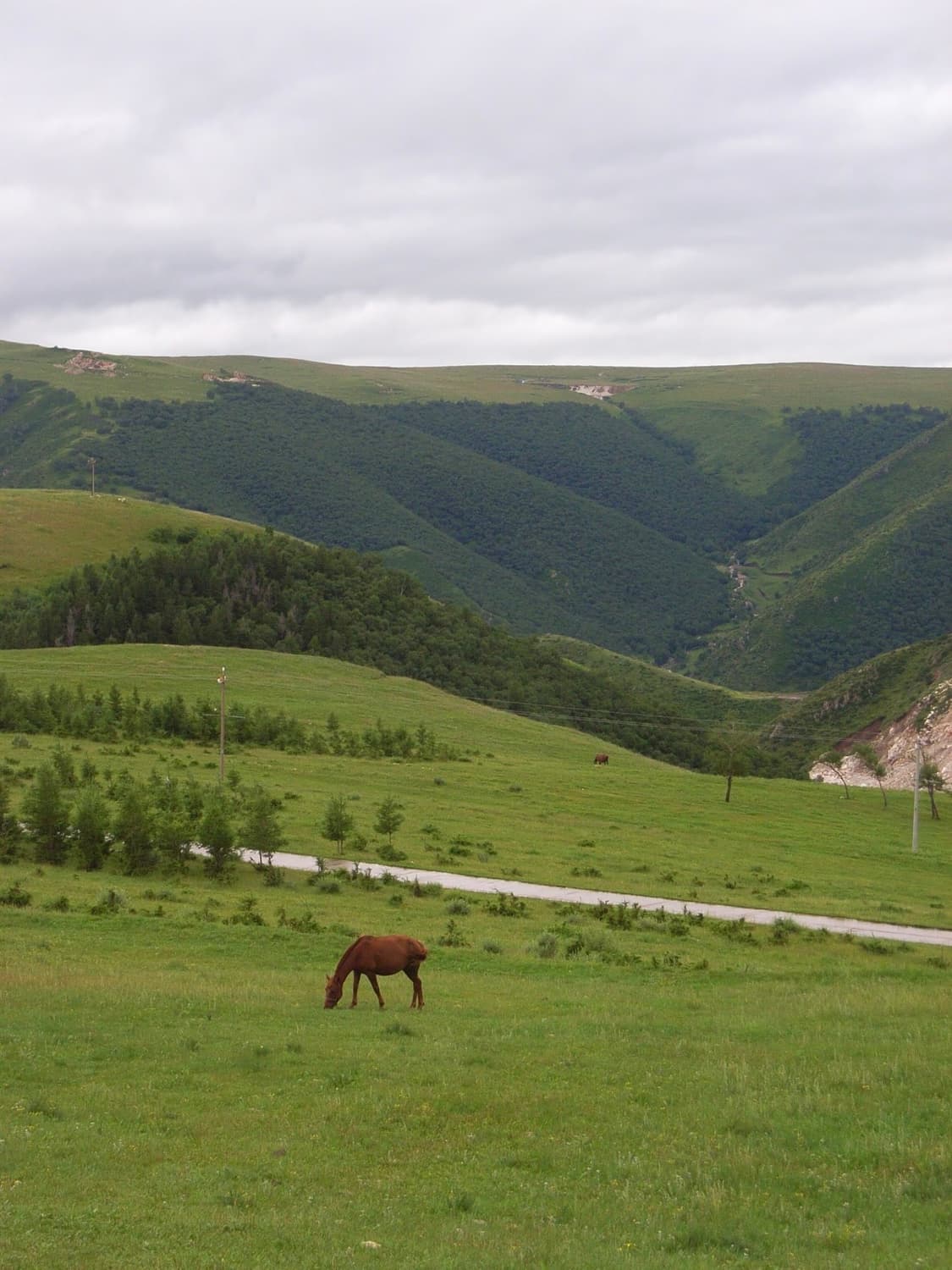 (필름느낌🫧작례o) 리코 카플리오 R4 | Ricoh Caplio R4 상품이미지3