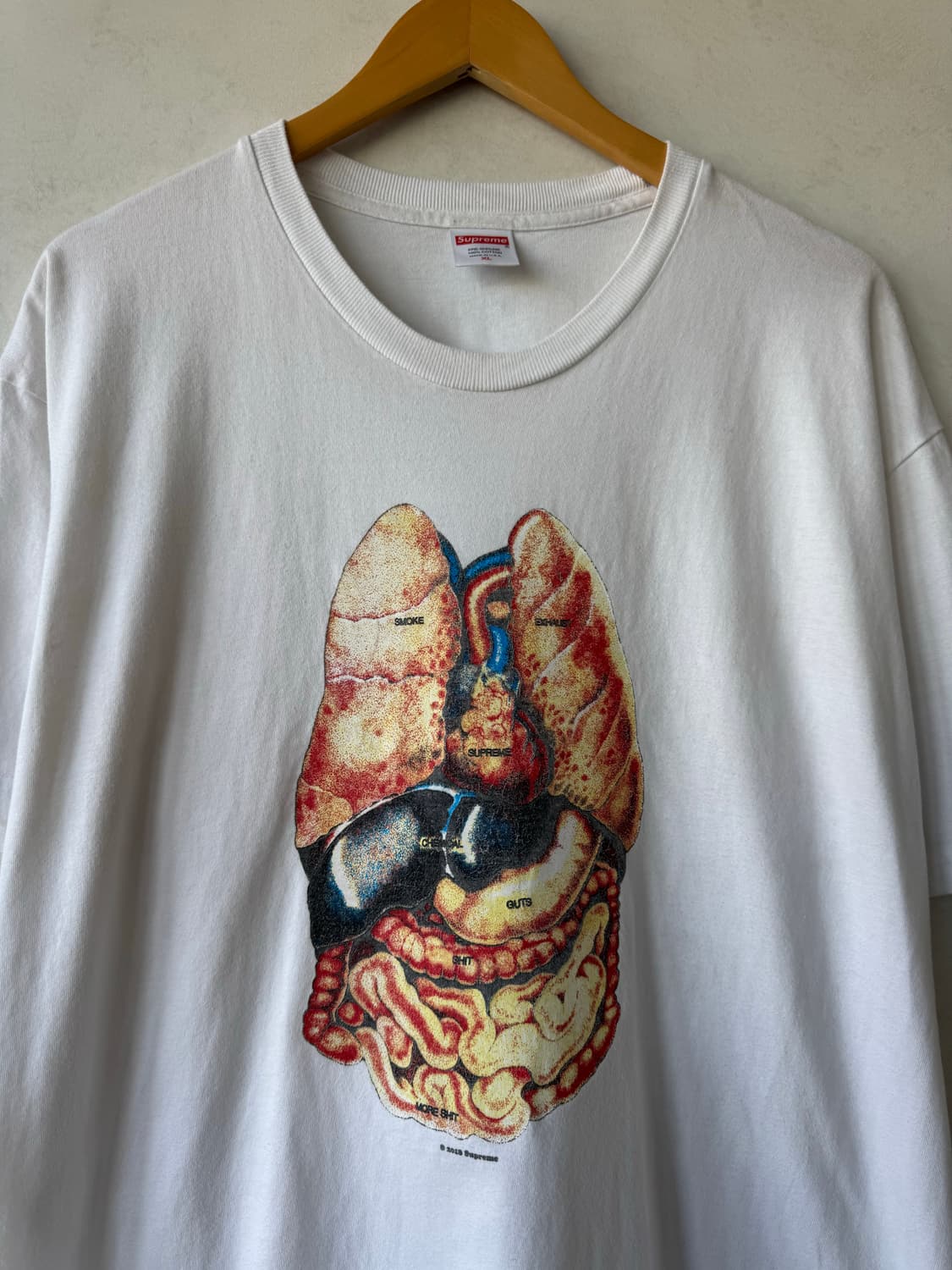 Fw18 슈프림 Guts 티셔츠 상품이미지2