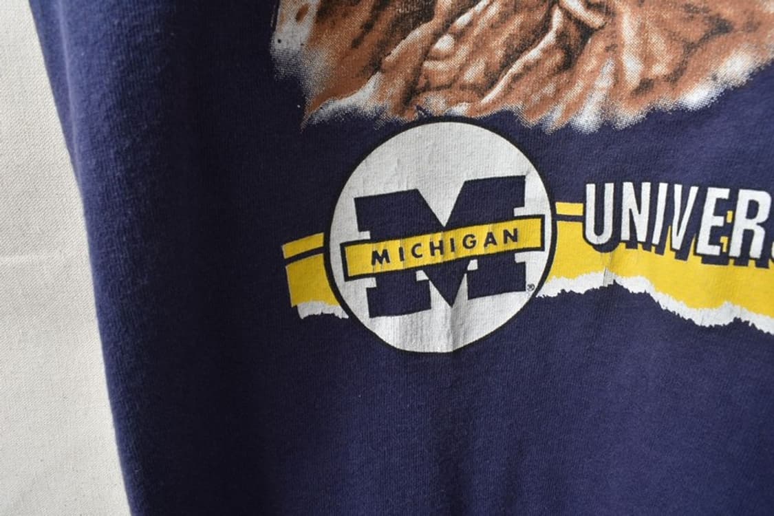 90S USA 미시건 반팔티 L M0273 상품이미지8