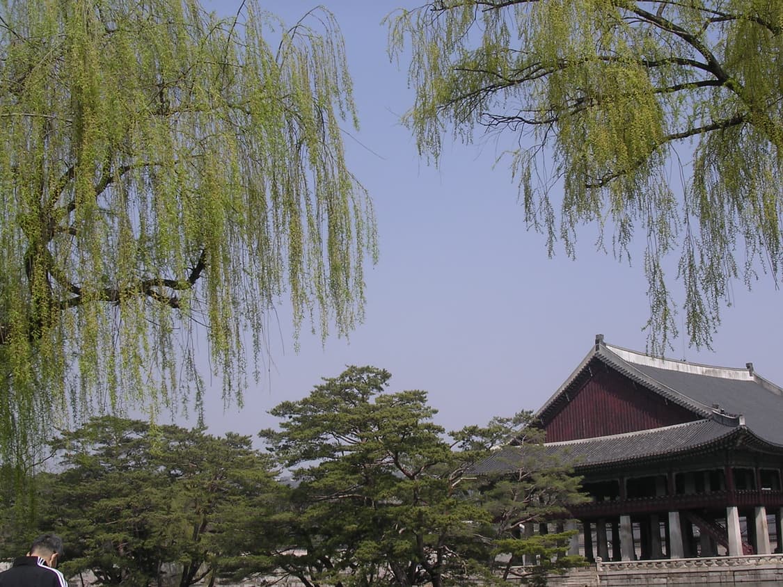 (작례o) 니콘 쿨픽스 3100 디카 상품이미지7