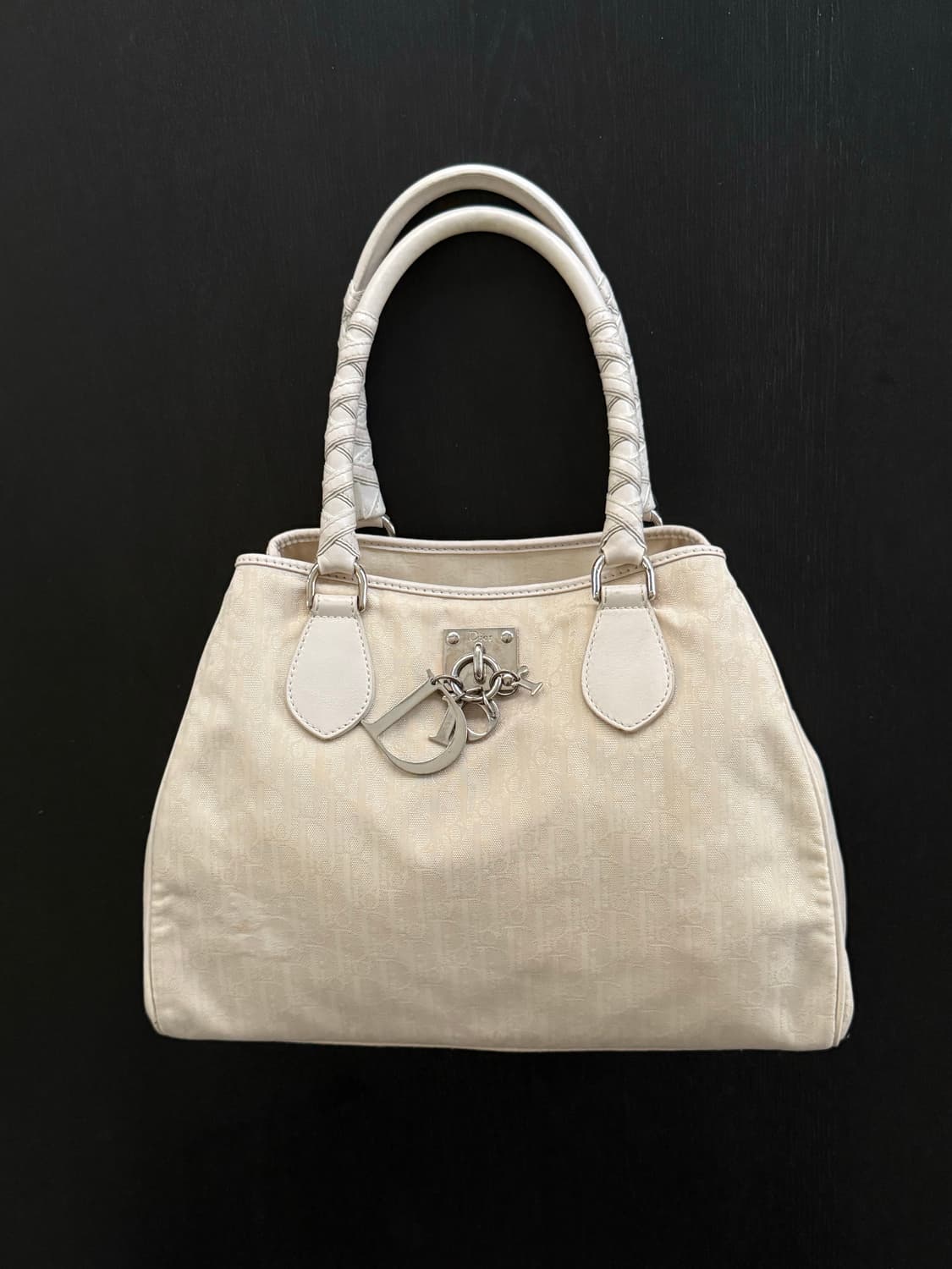 DIOR 디올 오블리크 디올리시모 토트백 상품이미지1