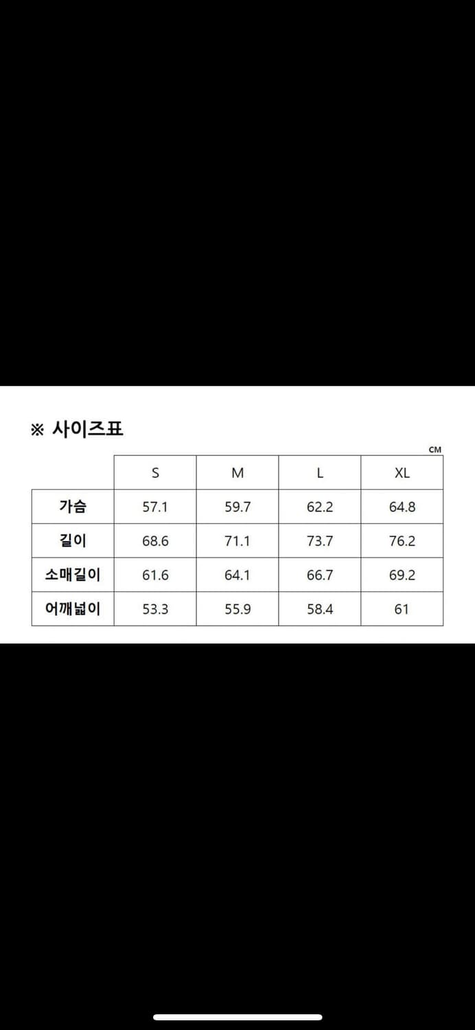 스투시 베이직 로고 후드티 L 상품이미지4
