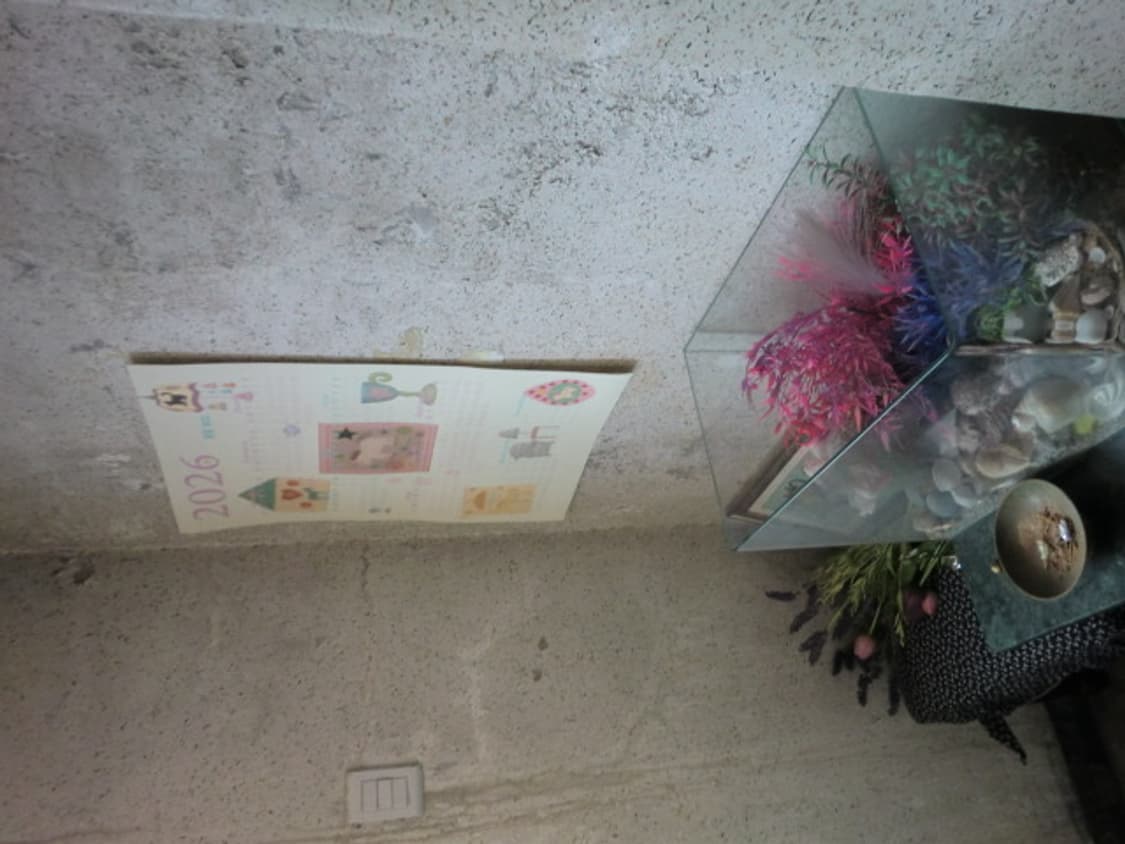 카시오 엑슬림 z2000 상품이미지9