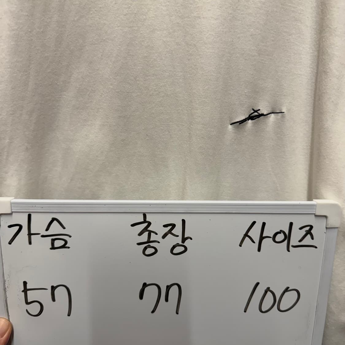 지오송지오 반팔티셔츠  상품이미지5