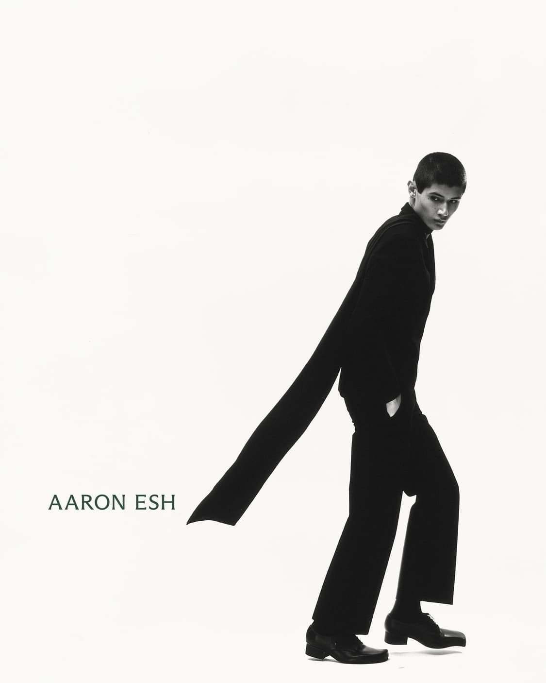 aaron esh trousers 34 상품이미지1