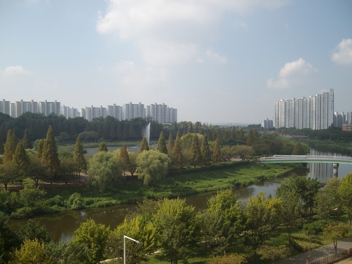 입문&강추!) Samsung VLUU PL20 디카 카메라 상품이미지3