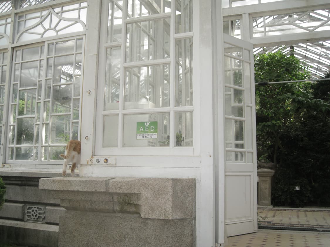 패션모델!작례O) CANON IXUS960 IS ➰ 상품이미지6