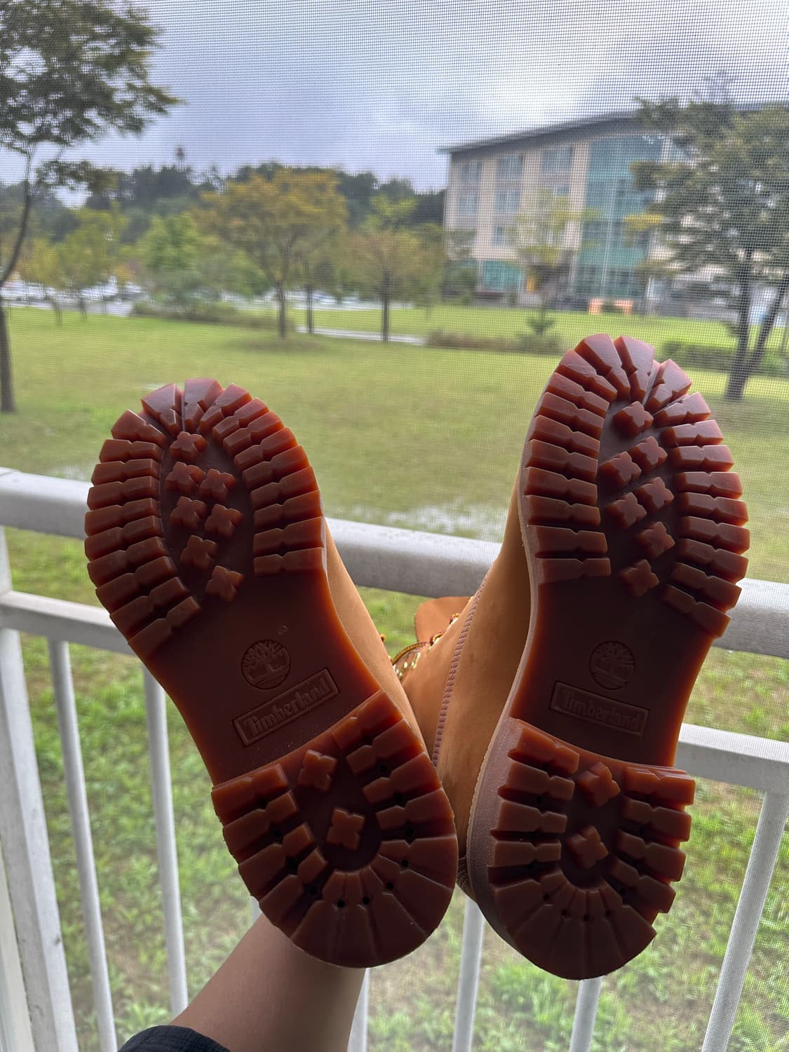 팀버랜드 프리미엄 6인치 275 상품이미지4