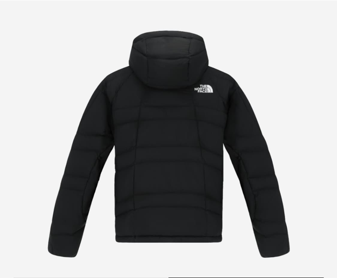 노스페이스 데이드라이브 XL 상품이미지2