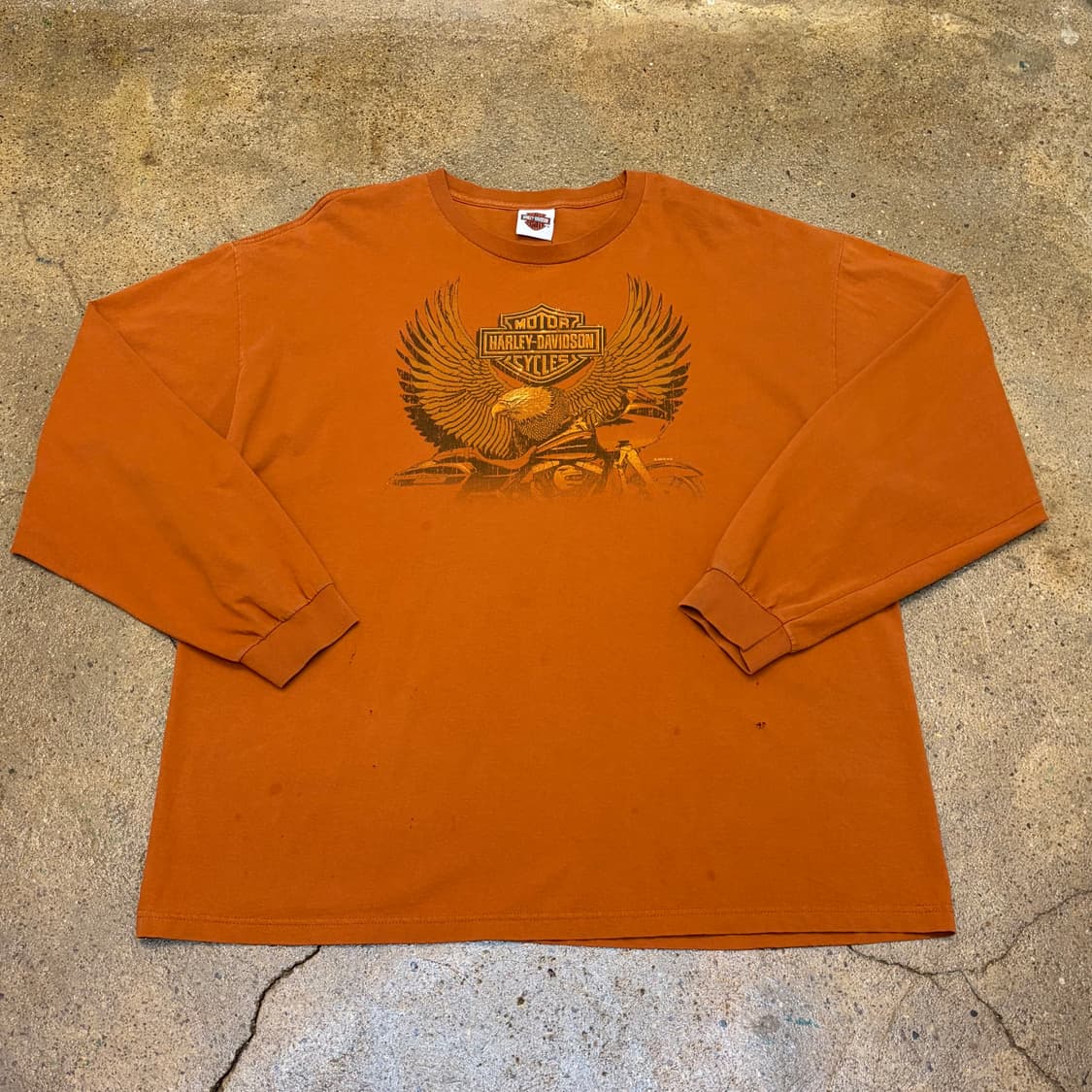 레어 10s 미국 빈티지 할리데이비슨 이글 롱슬리브 긴팔티 상품이미지1