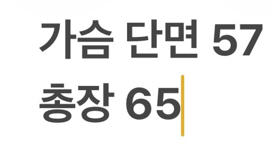 [정품/L] 나이키 윈드러너 바람막이 자켓 b15 상품이미지9