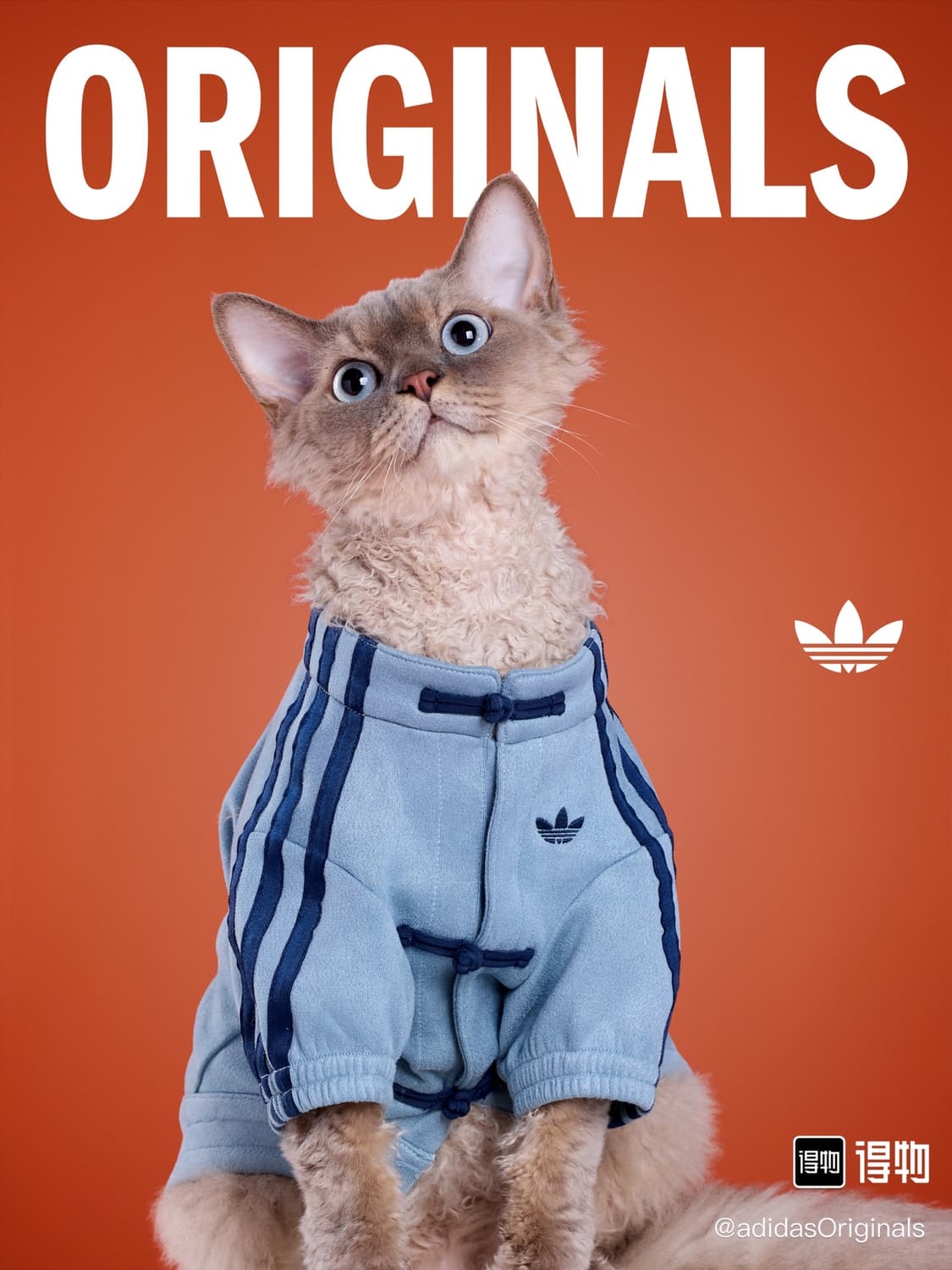 아디다스 강아지 고양이 옷 중티다스 상품이미지2