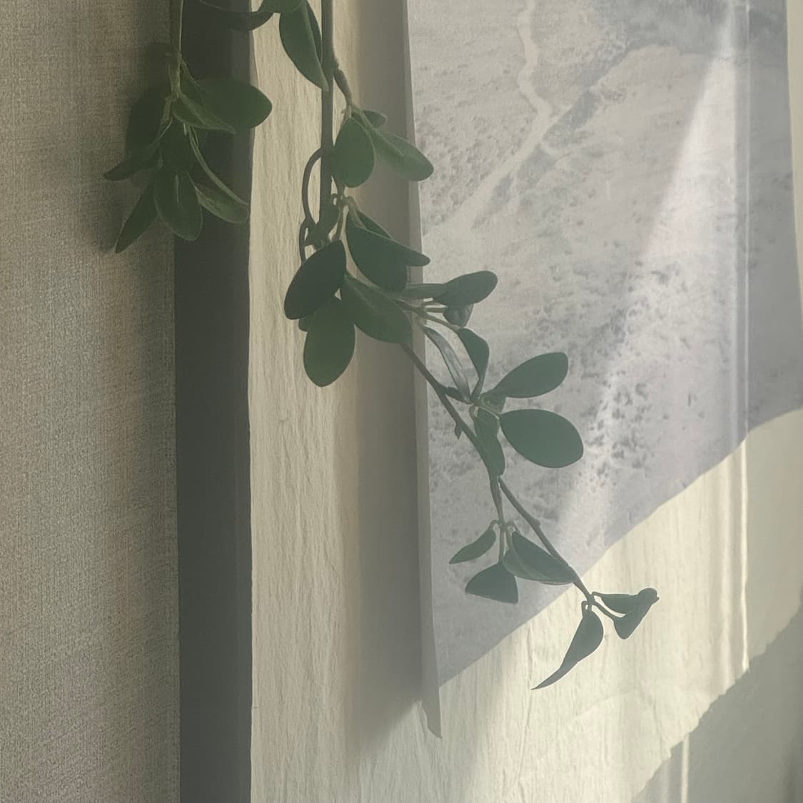 개인결제창 상품이미지1