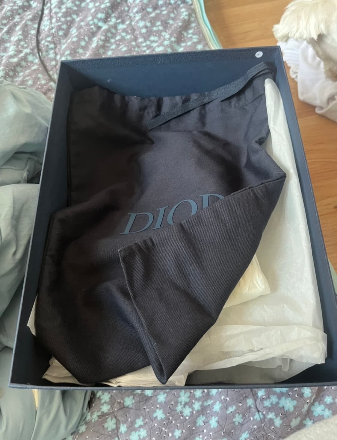 디올 오블리크 메신저백 상품이미지3