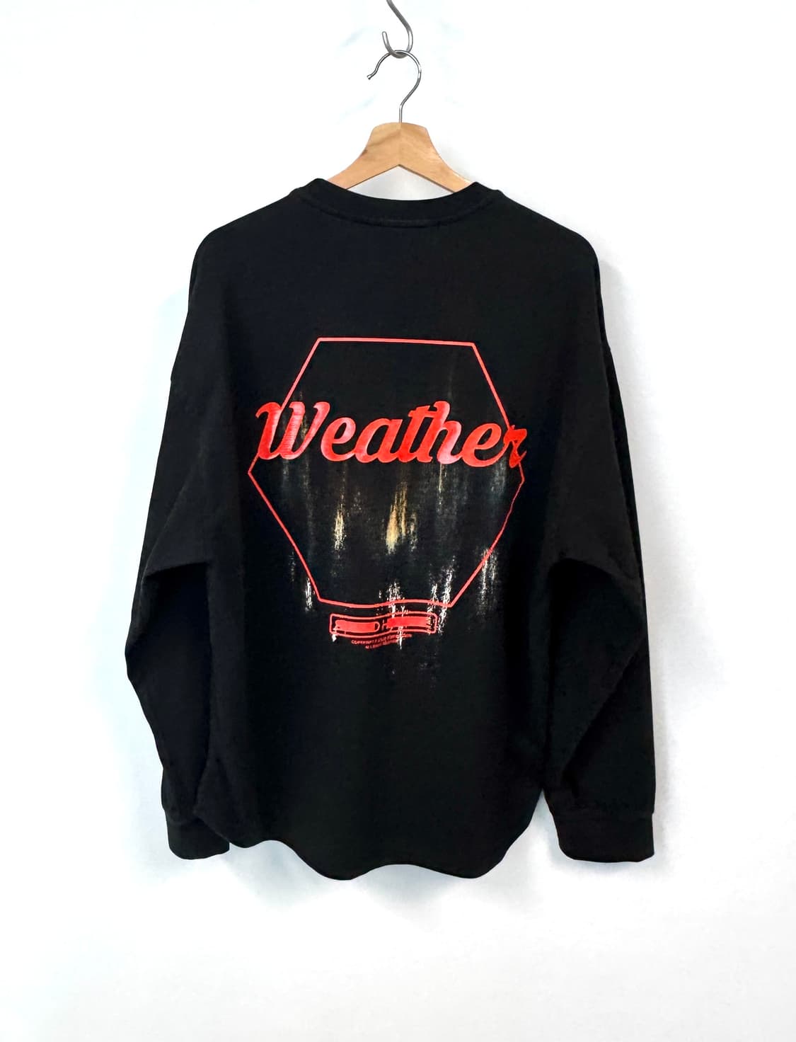 SOLID HOMME 솔리드옴므 WEATHER 그래픽 백로고 긴팔티셔츠  상품이미지2