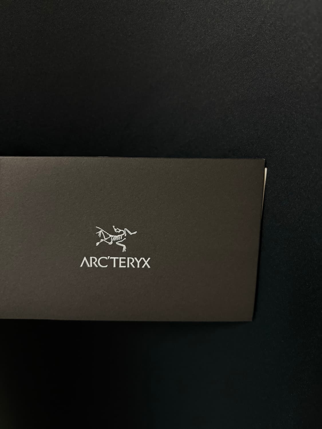 아크테릭스 빔즈 자켓 트랭퀼 s 상품이미지7