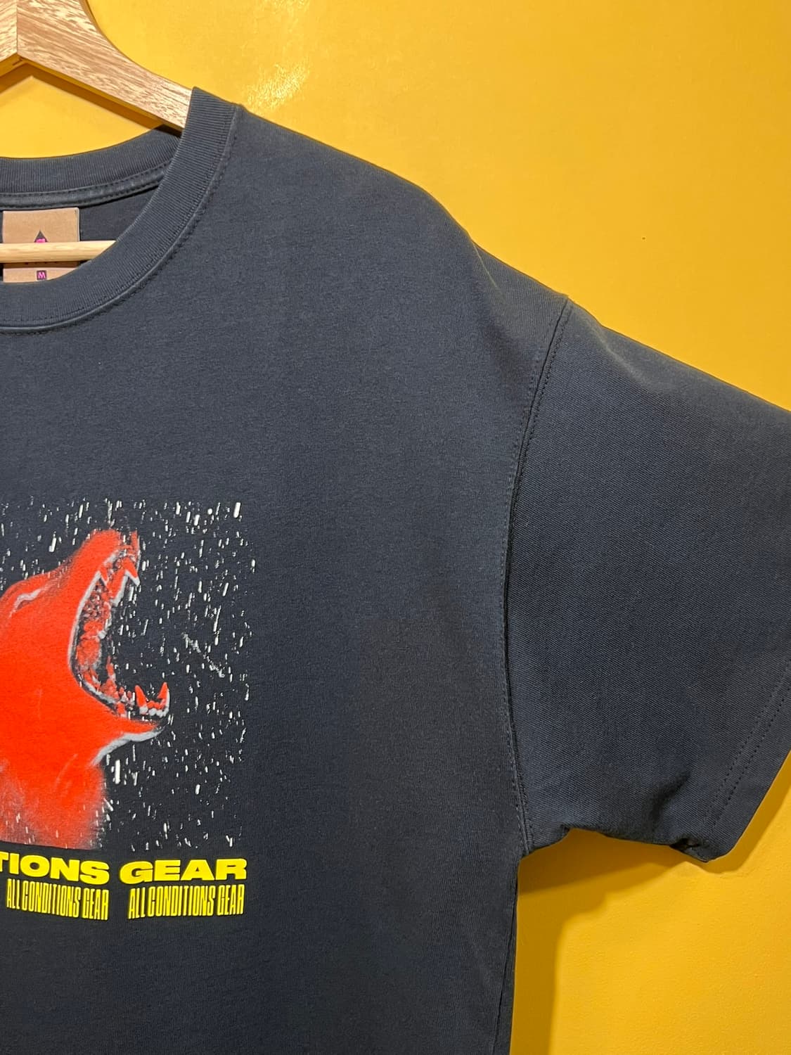 [M] 나이키 ACG 울프 그래픽 반팔 티셔츠 CT4172-010 상품이미지3