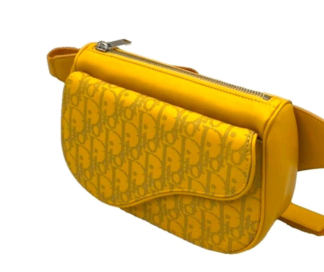 디올오블리크 월드 투어 벨트백 상품이미지4