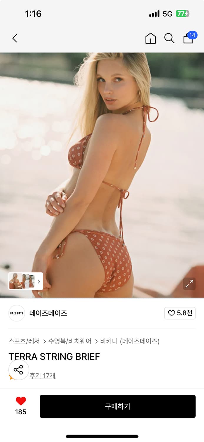 데이즈데이즈 테라 비키니 새 상품 상품이미지1