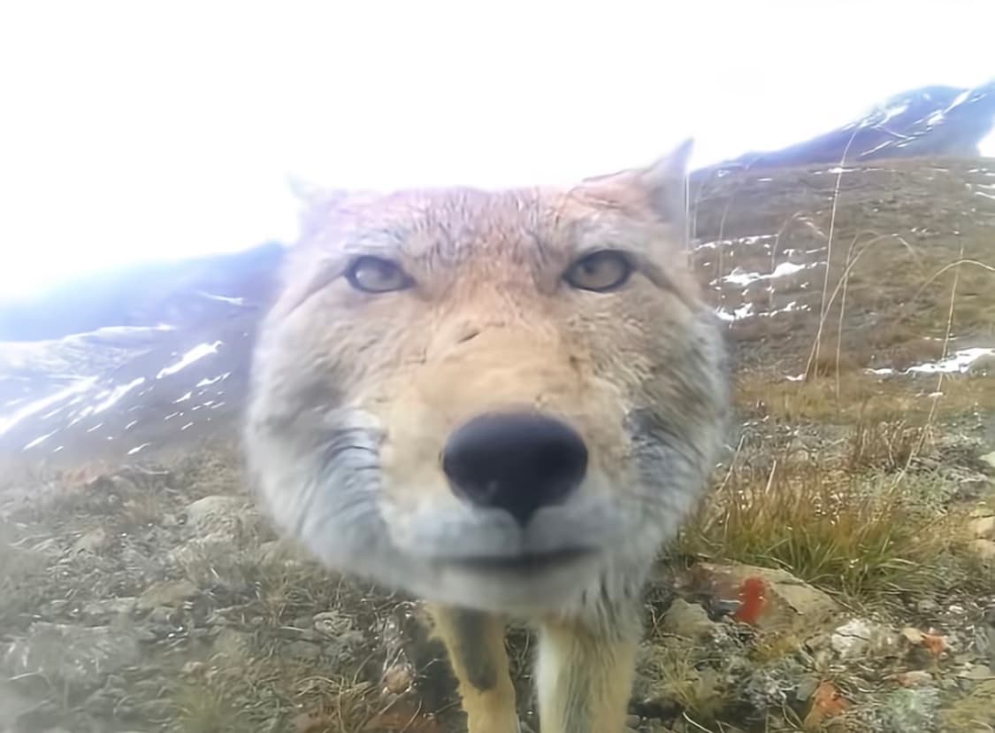 개인 결제창  상품이미지1