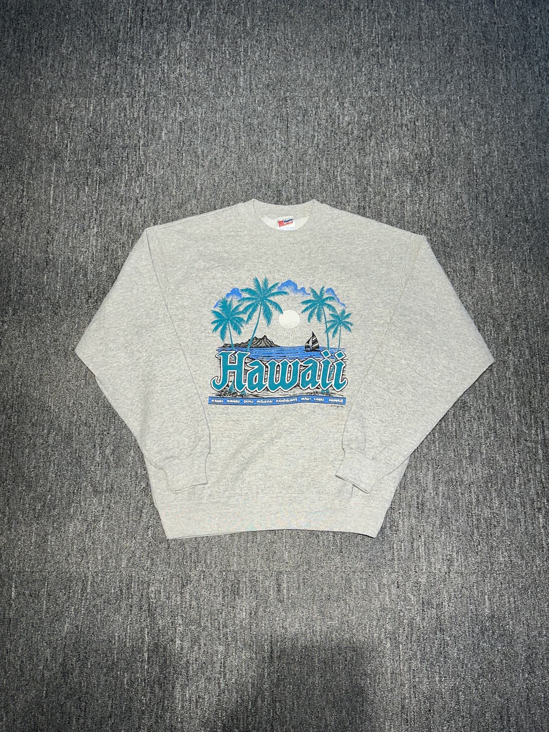 90s Hanes made in U.S.A 빈티지 스웻셔츠 L 상품이미지1