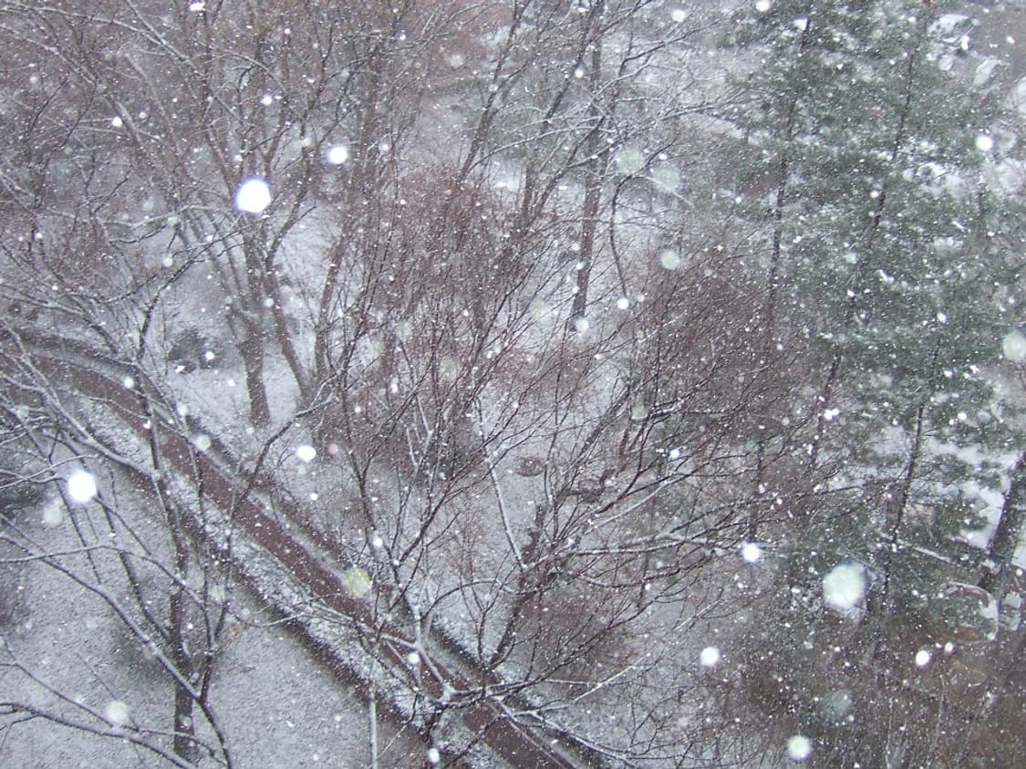 (작례O) 후지필름 파인픽스 F11 상품이미지9