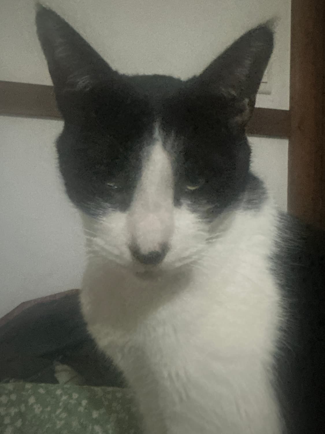 개인결제창  상품이미지1