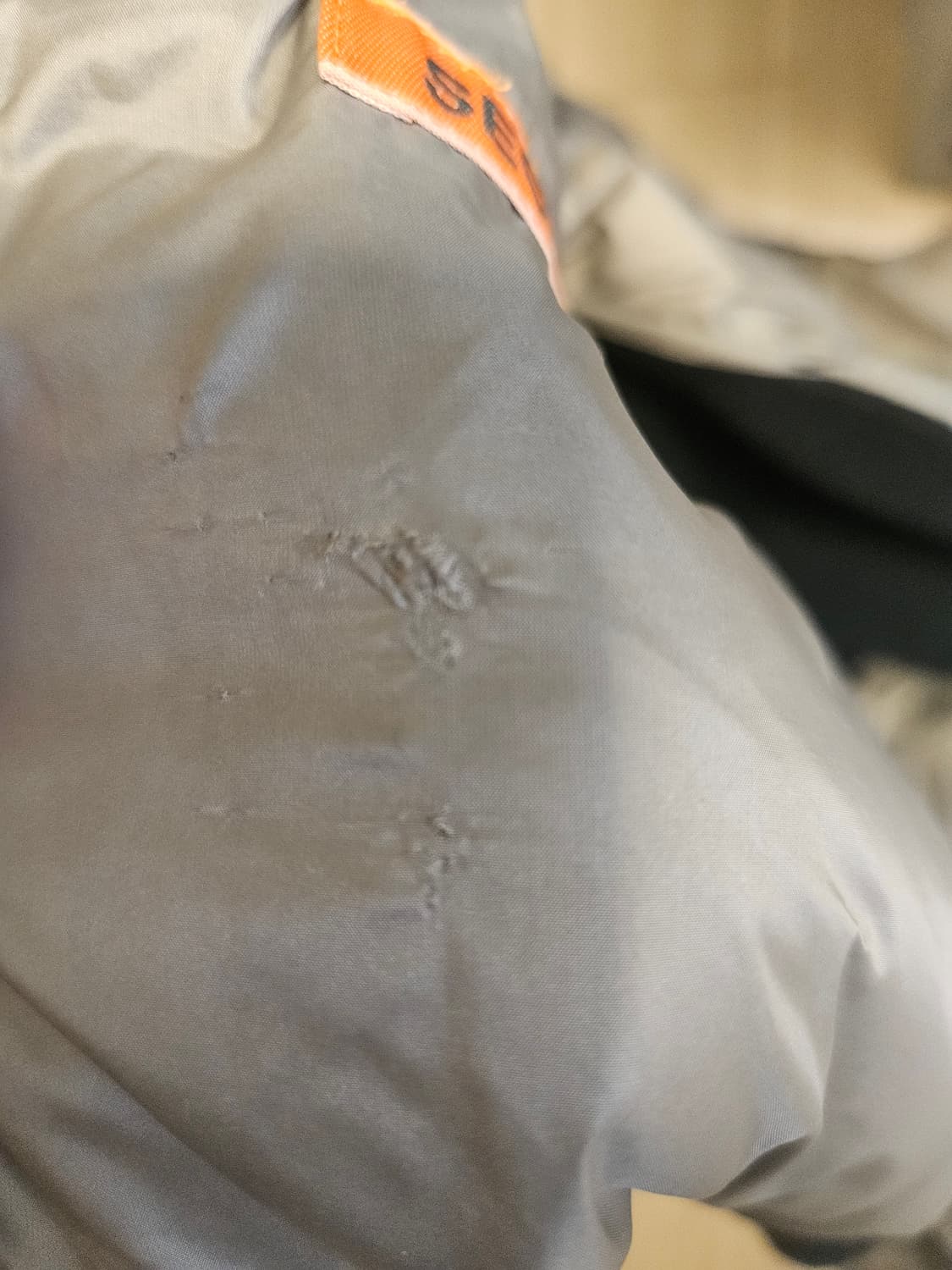 파라점퍼스 엘리엇L 상품이미지7